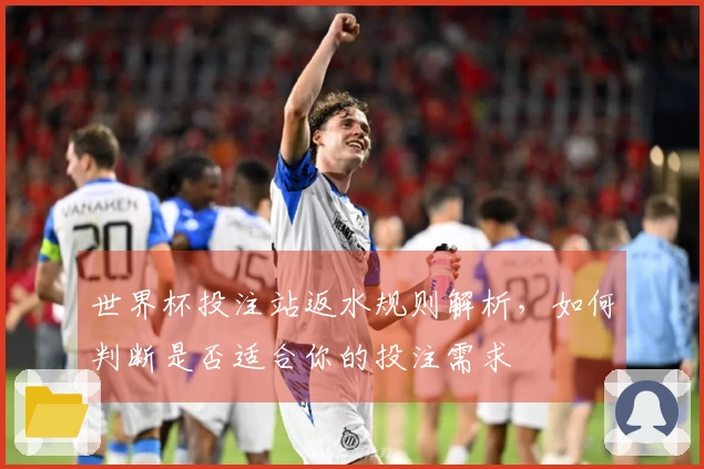 世界杯投注站返水规则解析，如何判断是否适合你的投注需求
