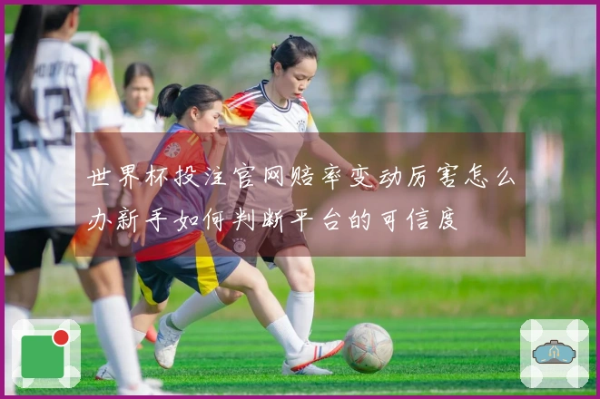世界杯投注官网赔率变动厉害怎么办新手如何判断平台的可信度