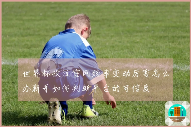 世界杯投注官网赔率变动厉害怎么办新手如何判断平台的可信度
