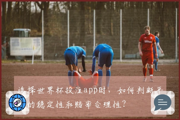 选择世界杯投注app时，如何判断平台的稳定性和赔率合理性？
